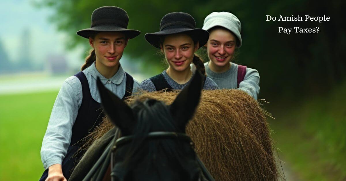 Do Amish People Pay Taxes