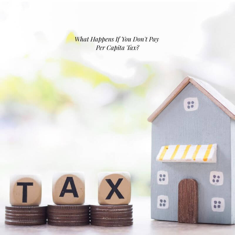 Pay Per Capita Tax